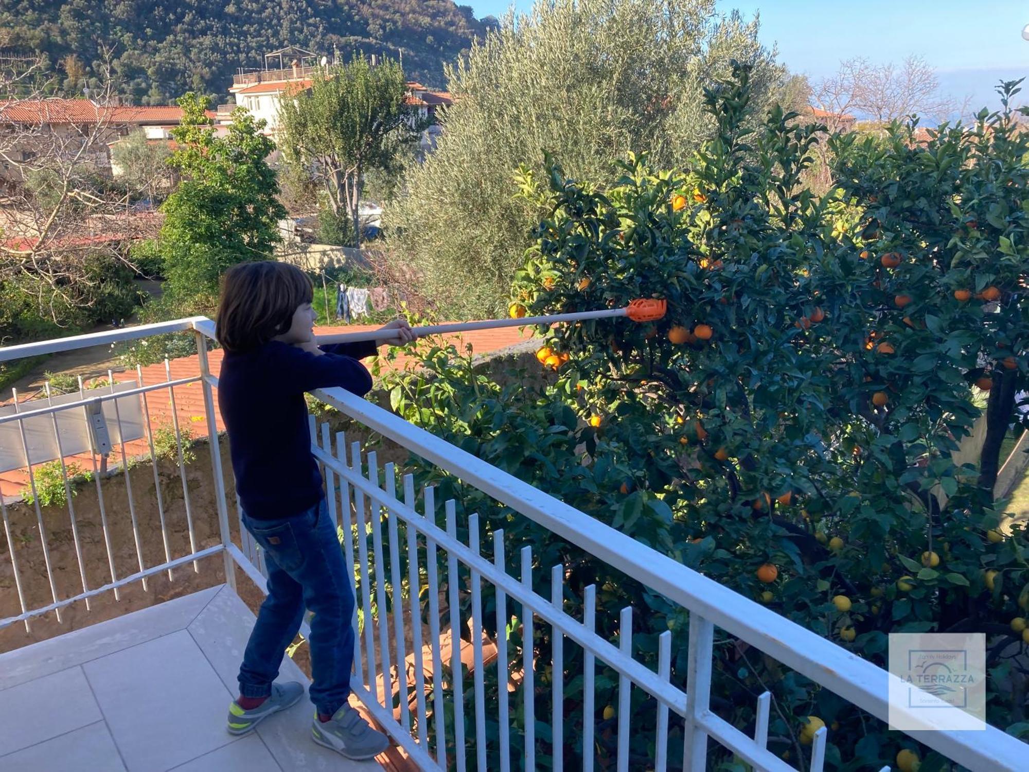 La Terrazza Family Holidays - Sorrento Coast Sant'Agnello Exterior foto